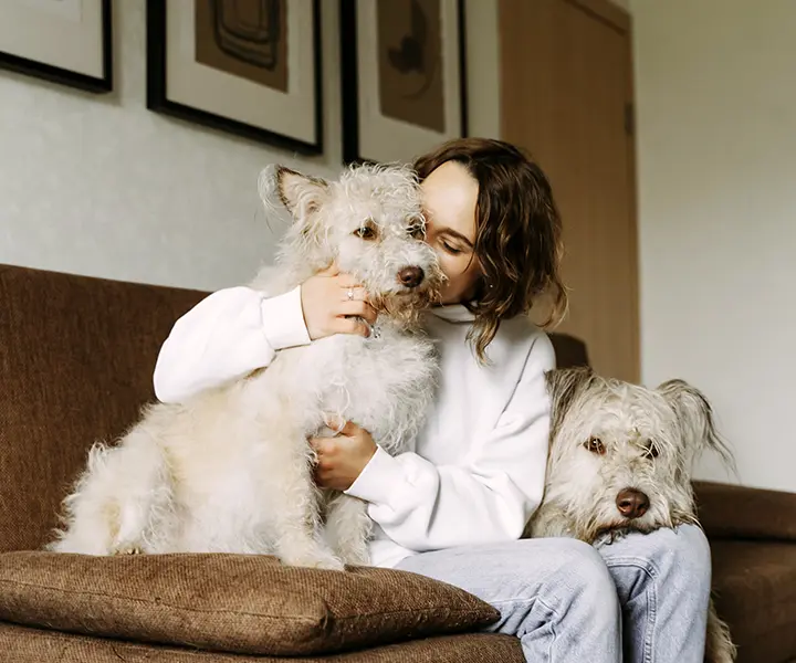 A person cuddling her dogs on the sofa